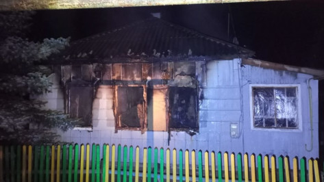 Погибший в воронежском селе 5-летний мальчик был один дома, когда вспыхнул пожар