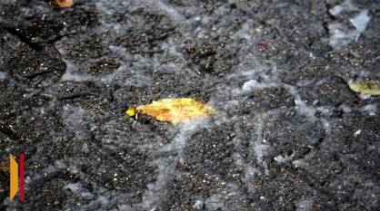 Стало известно, придет ли в Воронежскую область новый снежный циклон, накрывший Москву