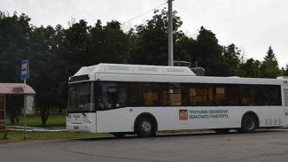 В Кантемировке в третий день выборов проезд в общественном транспорте будет бесплатным
