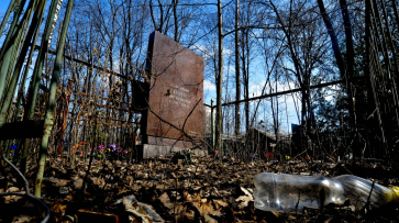 Воронежцы нашли тело женщины на Коминтерновском кладбище