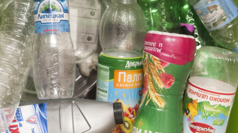  Экологи насчитали более 800 контейнеров для сбора пластика в Воронеже
