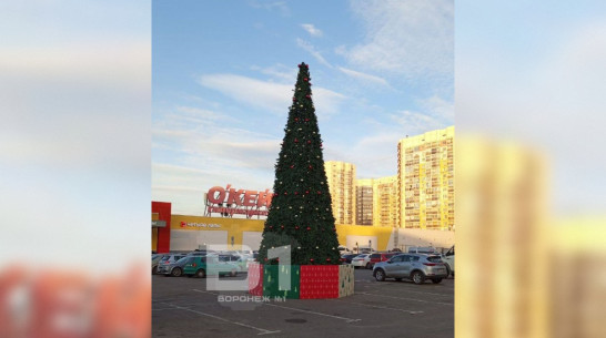 В Воронеже появились первые новогодние елки