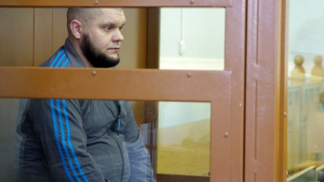В Воронеже суд дал пожизненный срок убийце семьи в переулке Здоровья