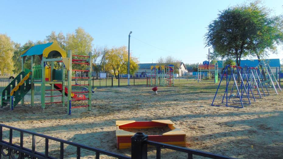 Активисты репьевского села Усть-Муравлянка установили на детской площадке спортоборудование
