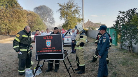 Пожар в воронежском селе Журавка локализован на площади 1 га