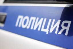 Борисоглебец попал под статью за нападение на полицейского