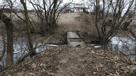 Заброшенные хутора: как пустеют воронежские деревни. Николаевка