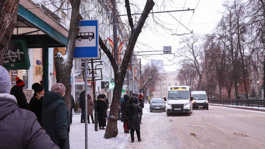 В Воронеже появятся три новых автобусных маршрута