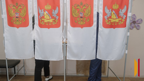 В Воронежской области в сентябре 2026 года пройдет 16 избирательных кампаний