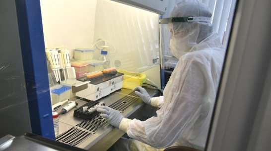 За сутки диагноз COVID-19 поставили 185 воронежцам