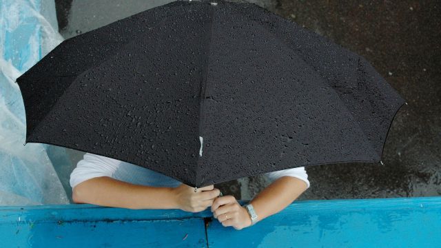 Ежедневные дожди прогнозируют в Воронежской области