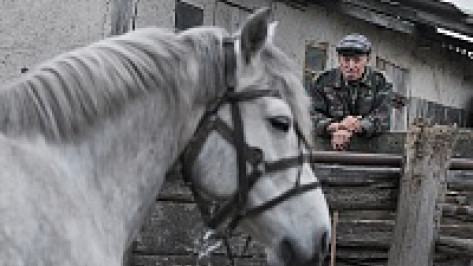 Одного из последних лошадников Воронежской области кони везут по жизни уже полвека 