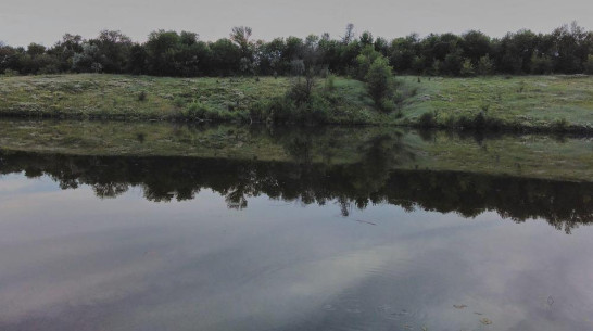 Очевидцы: в Воронежской области девушка утонула, спасая 2 подруг
