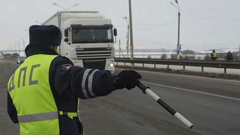 В Воронежской области за неделю оштрафовали 228 водителей за выезды на «встречку»