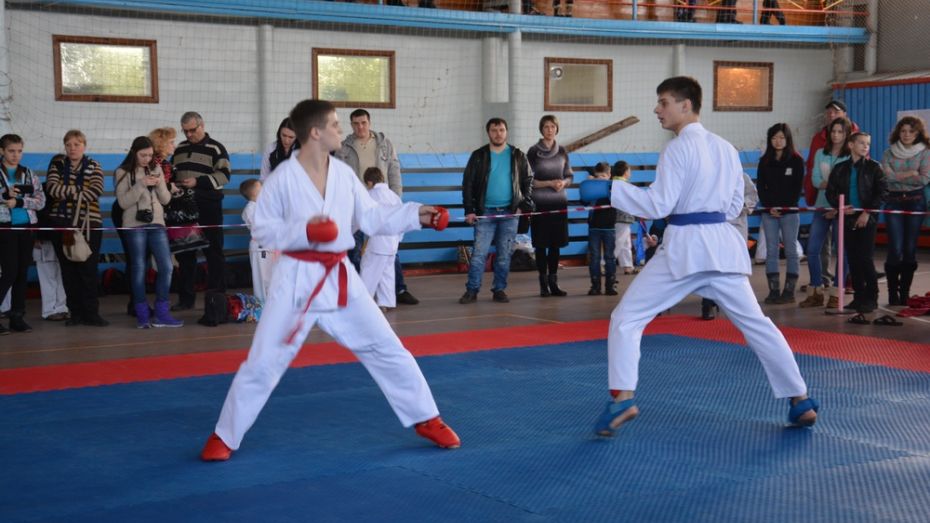 В Поворинском районе прошел второй открытый областной турнир по карате WKF