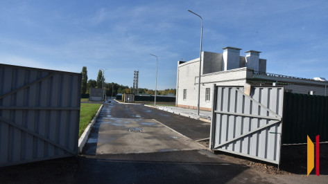 Муниципальный приют для собак в Воронеже планируют расширить