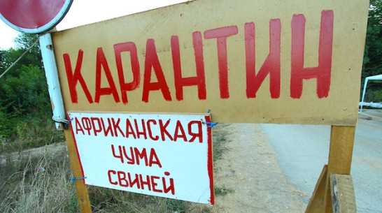 На рынке Богучара запрещена торговля мясом 