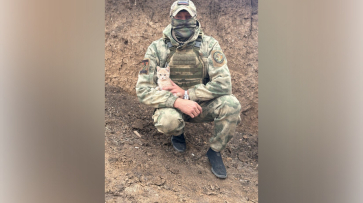 Машка на передовой. Воронежец рассказал, как животные помогают нашим солдатам в зоне СВО