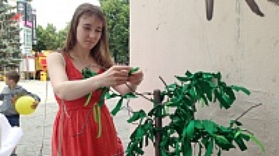 В центре Воронежа выросло антиабортное дерево