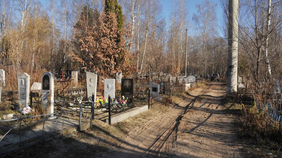 Мэр заявил об исчерпанных возможностях кладбищ Воронежа