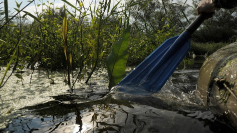 В Воронеже на реке Усманка разлилось топливо 