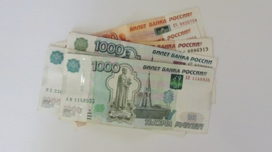 Средний доход жителя Воронежской области достиг 27 тыс рублей