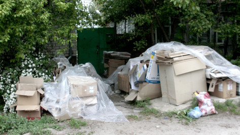 Прокуратура нашла незаконные свалки в 7 поселениях Воронежской области