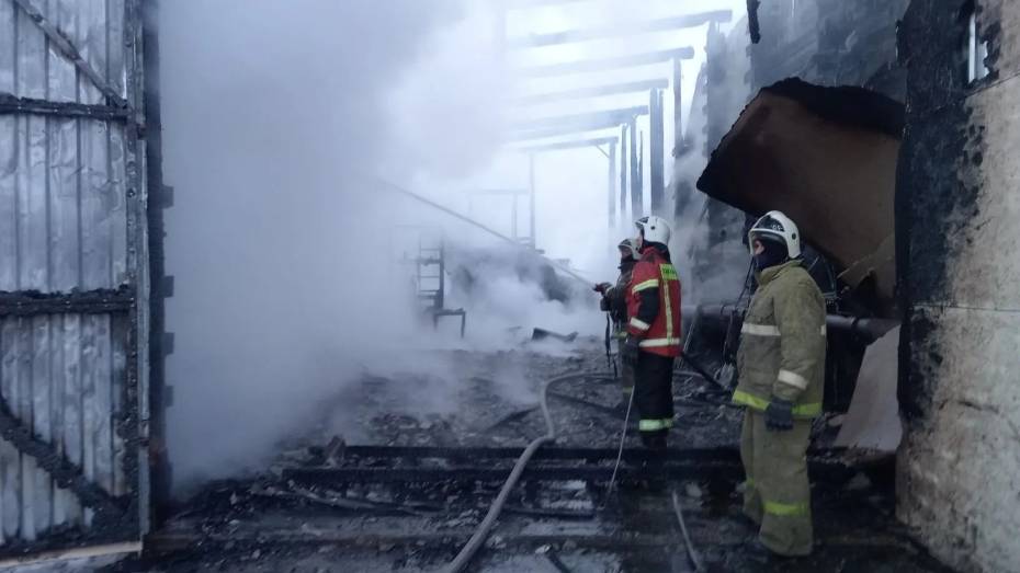 В Воронежской области сгорел гараж: пострадал мужчина