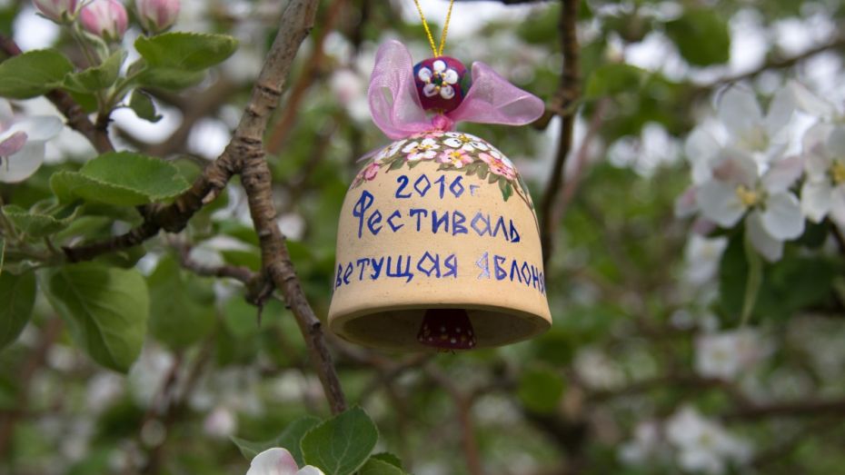 На фестиваль «Цветущая яблоня» в Воронежской области приехал питерский певец