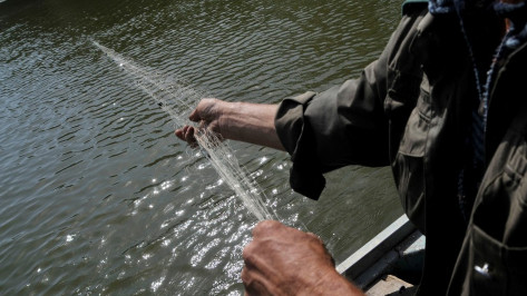 Воронежские рыбаки очистят водоемы от рыболовных сетей