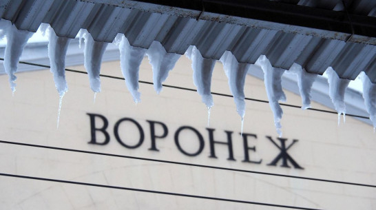 Стало известно, придут ли морозы в Воронеж на этой неделе