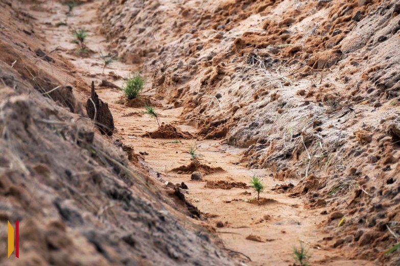 Сохраним лес- октябрь 2025