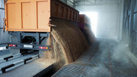 Воронежские аграрии собрали 5,8 млн тонн зерна и 1,3 млн тонн сахарной свеклы