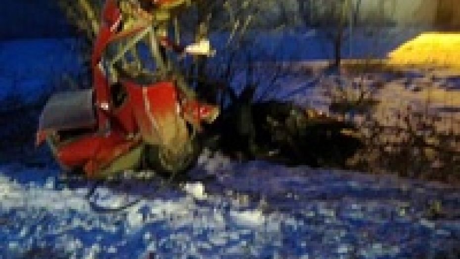 В Таловском районе «ВАЗ» врезался в дерево: два человека ранены