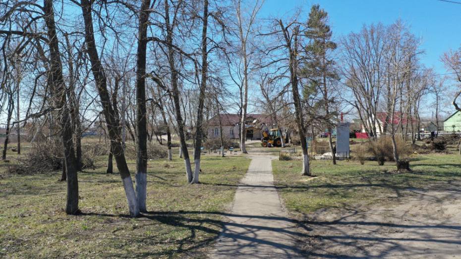 В новоусманском селе Рыкань на благоустройство парка направят 4,3 млн рублей