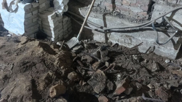 Найденные на воронежском КБХА свиные кости приняли за человеческие останки
