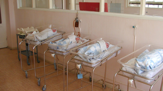 18 из 100 младенцев Воронежской области в прошлом году родились вне брака