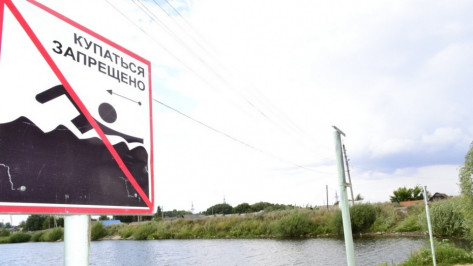 Воронежский Роспотребнадзор запретил купание в зоне отдыха «Левый берег»