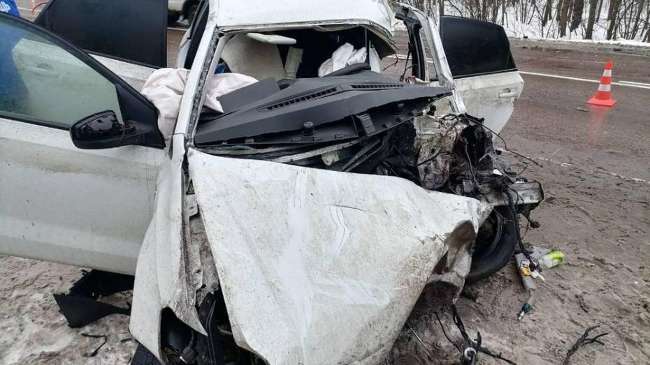 Водитель легковушки погиб после ДТП с большегрузом в Воронежской области