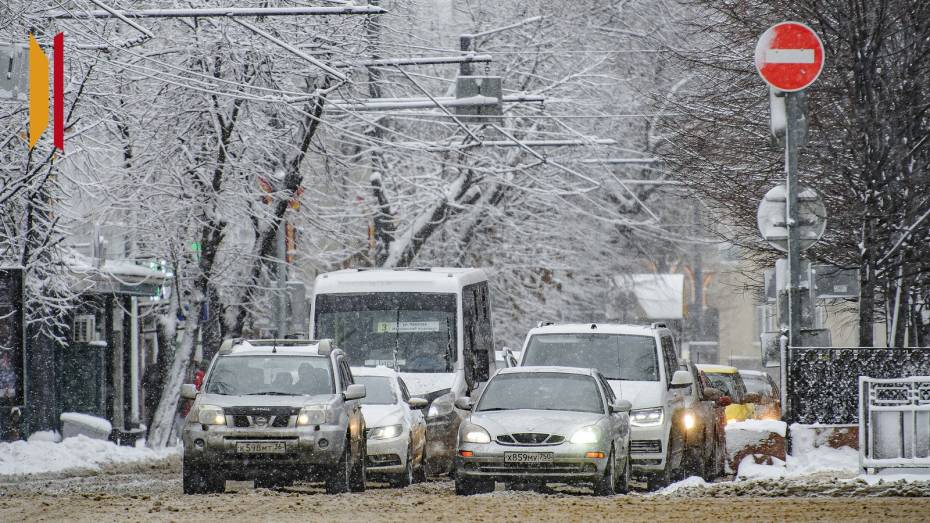 Последние выходные декабря для воронежцев будут морозными и снежными