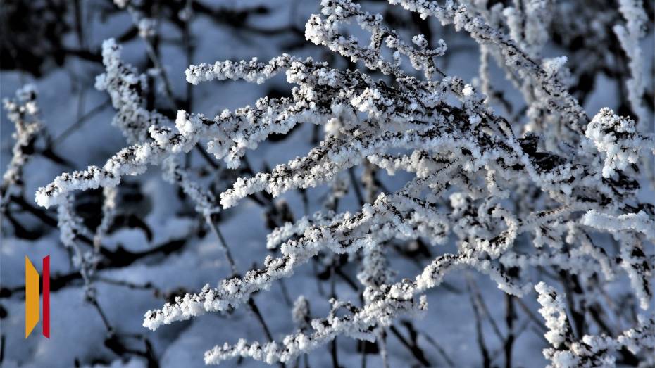 В Воронежской области зима завершится 12-градусным морозом