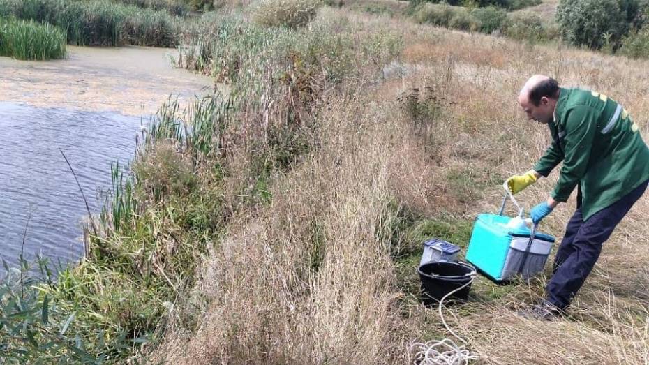 Экологи выяснят причины покраснения воды в оросительном канале в Воронежской области