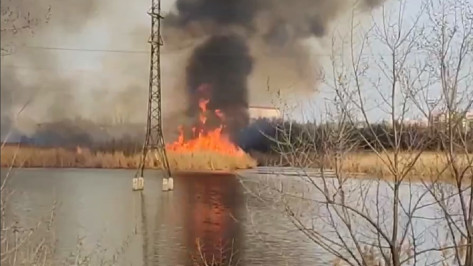 Два ландшафтных пожара произошли в Воронеже 7 апреля: видео