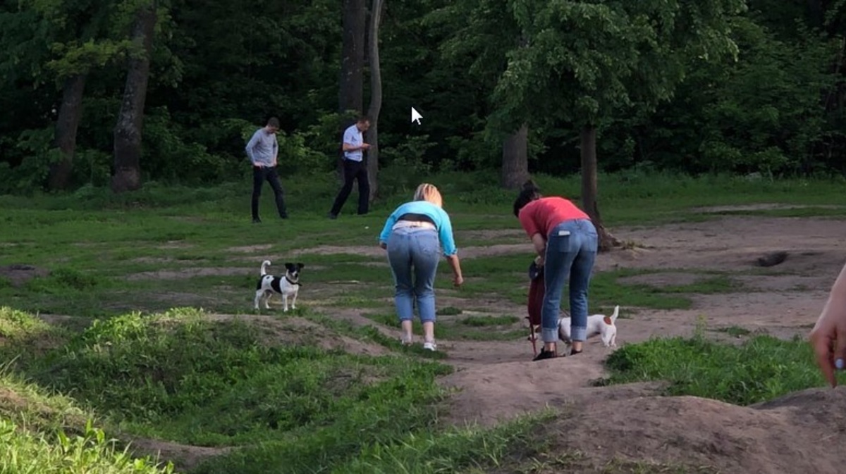 V Mikrorajone Dubrava V Voronezhe Obnaruzhili Raschlenennoe Telo Poslednie Svezhie Novosti Voronezha I Oblasti Ria Voronezh