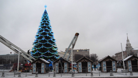 К новогодним праздникам в Воронеже установят светодиодный экран