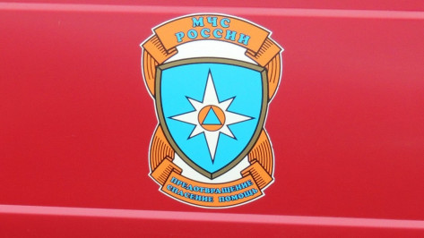 Жительница Воронежа получила ожоги при пожаре на улице Переверткина