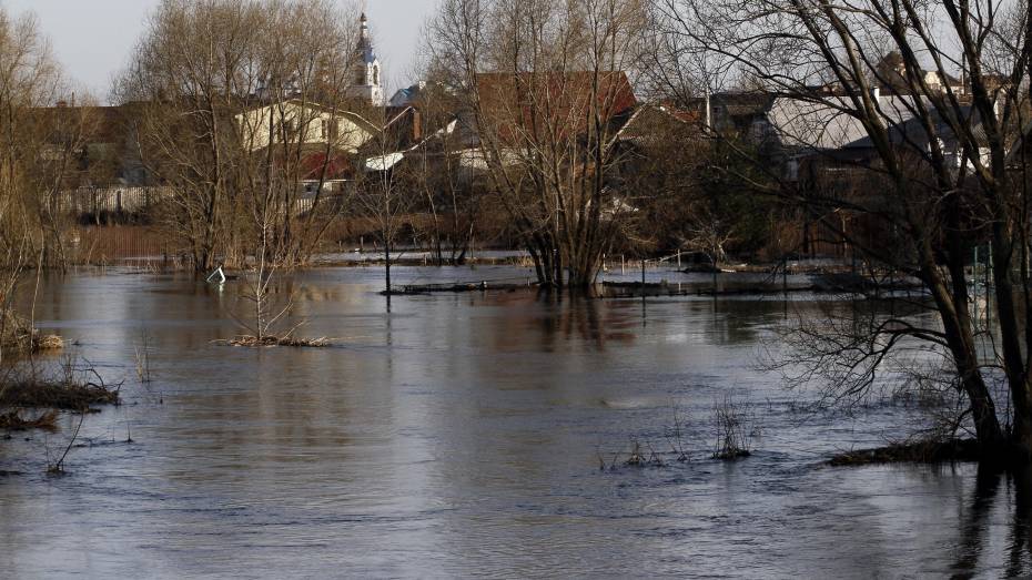 МЧС не прогнозирует затоплений из-за подъема воды в реках Воронежской области