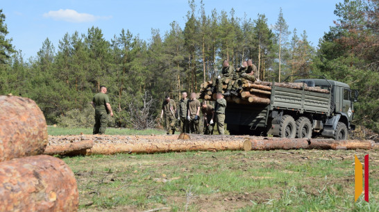 Жители Петропавловского района заготовили древесину для бойцов СВО