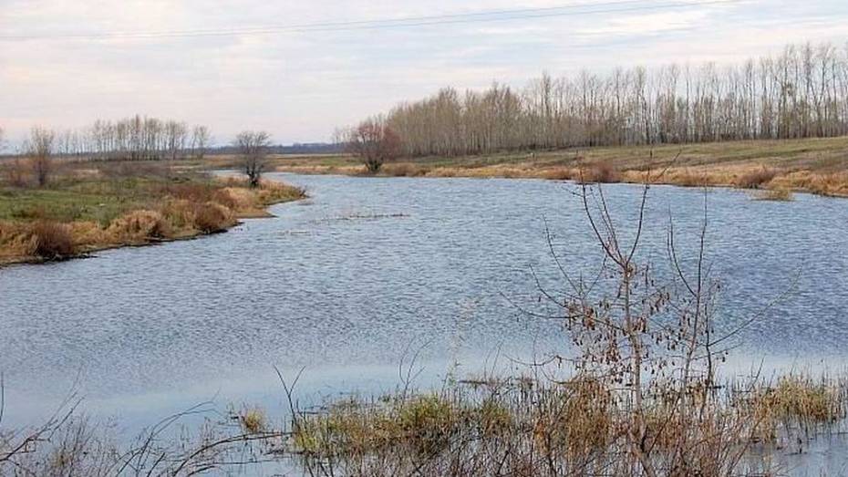 На берегу реки Карачан в Воронежской области нашли тело пенсионера