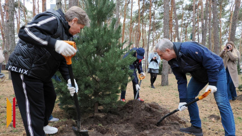 Врио губернатора Воронежской области Сергей Трухачев принял участие в общеобластном субботнике